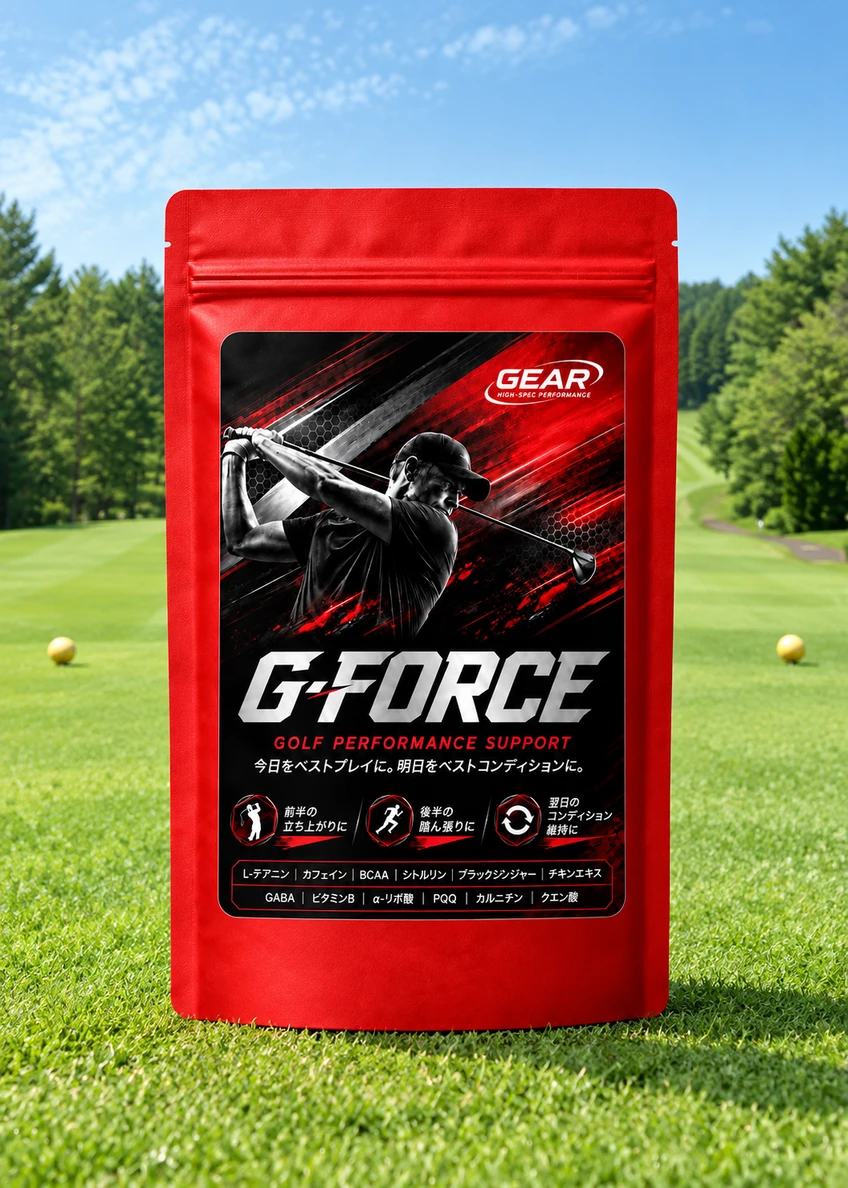 G-FORCEの商品資料に掲載されたパッケージイメージ